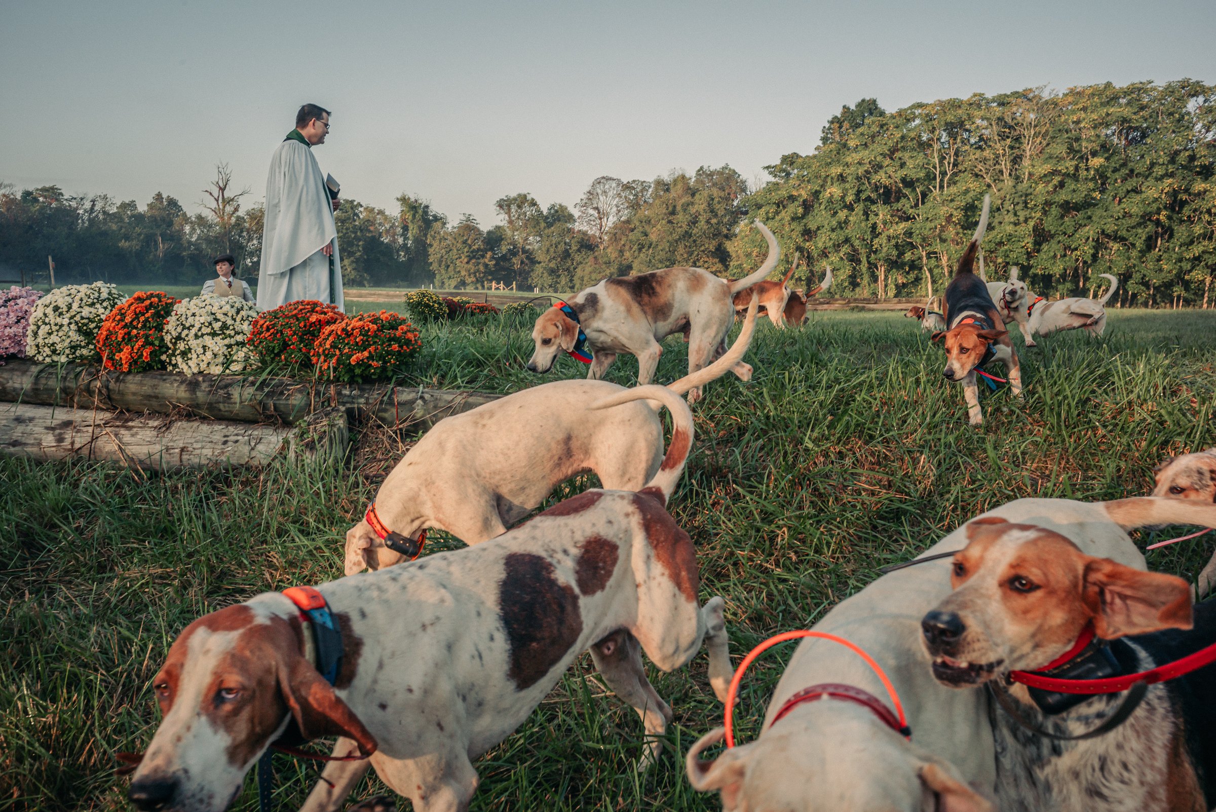 The Camargo foxhounds receive a blessing on the first day of the formal season. Photo by Michael Tittel.